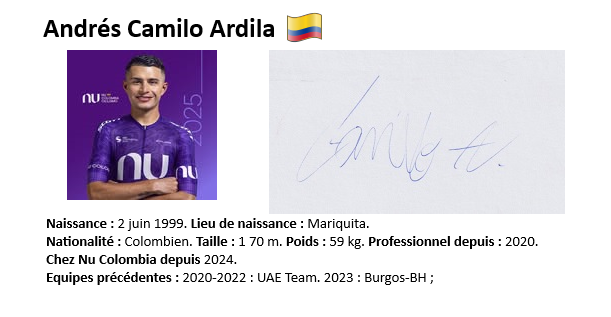 Ardila