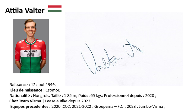 Attila valter 2024