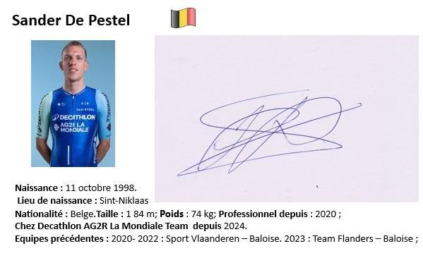 Sander de pestel 2024